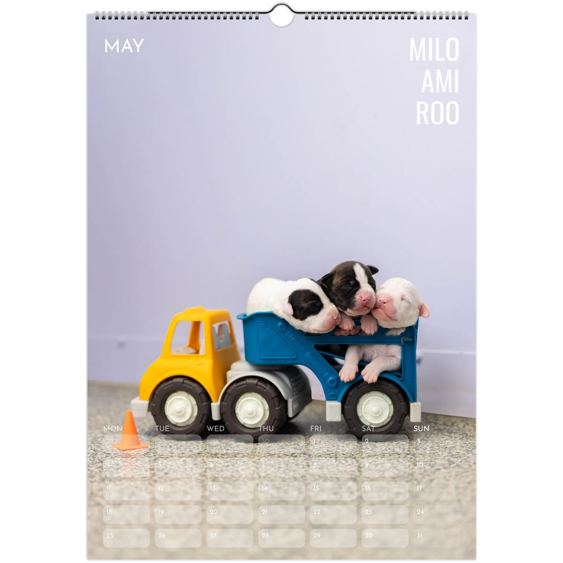 dd99592b-8f7d-4b1d-94e6-36806f8c0655