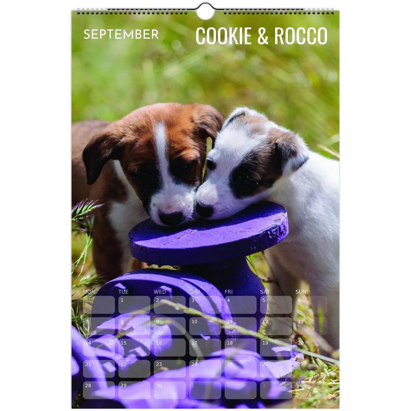 de045a95-d8ff-47b5-b92e-9f9443590c01