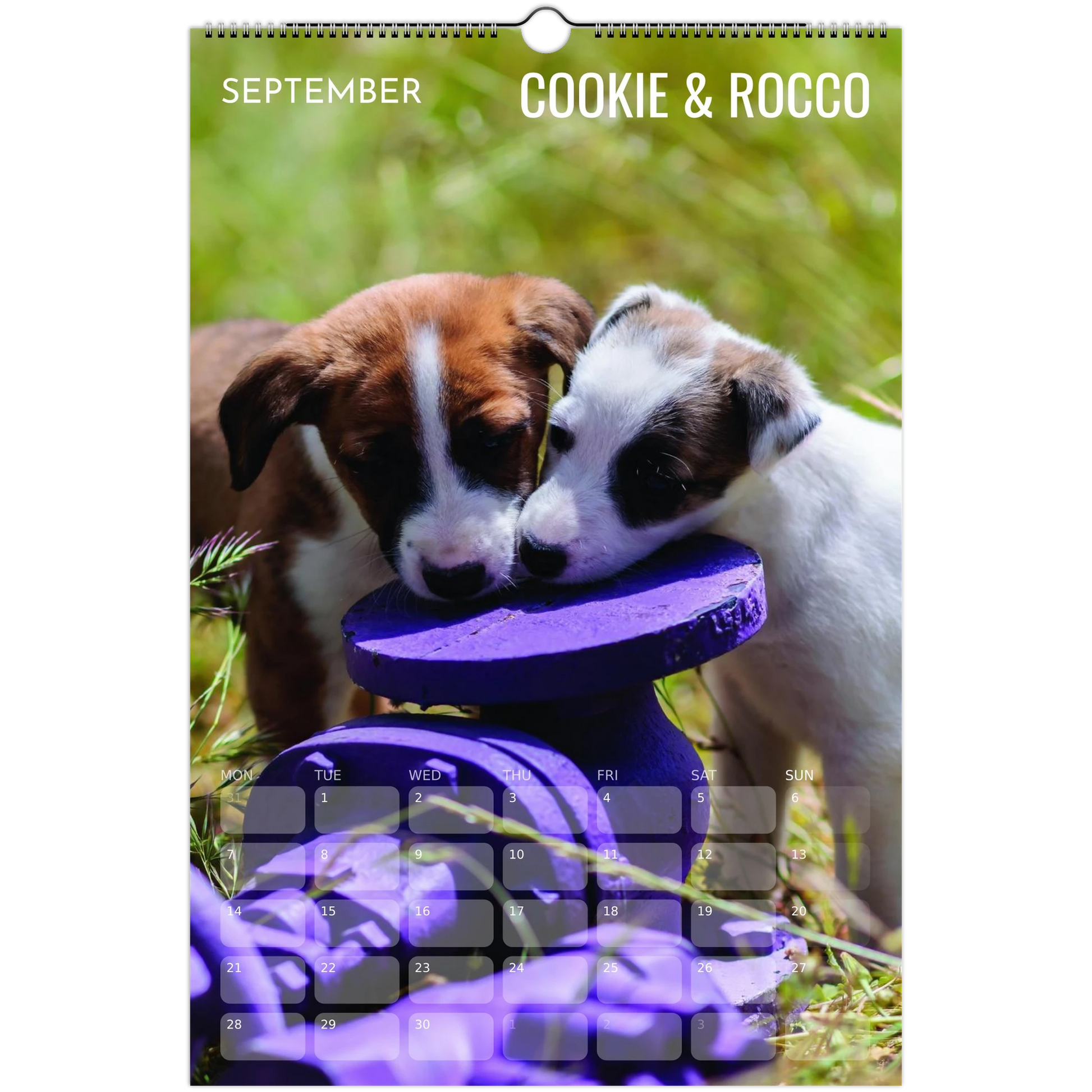 de045a95-d8ff-47b5-b92e-9f9443590c01