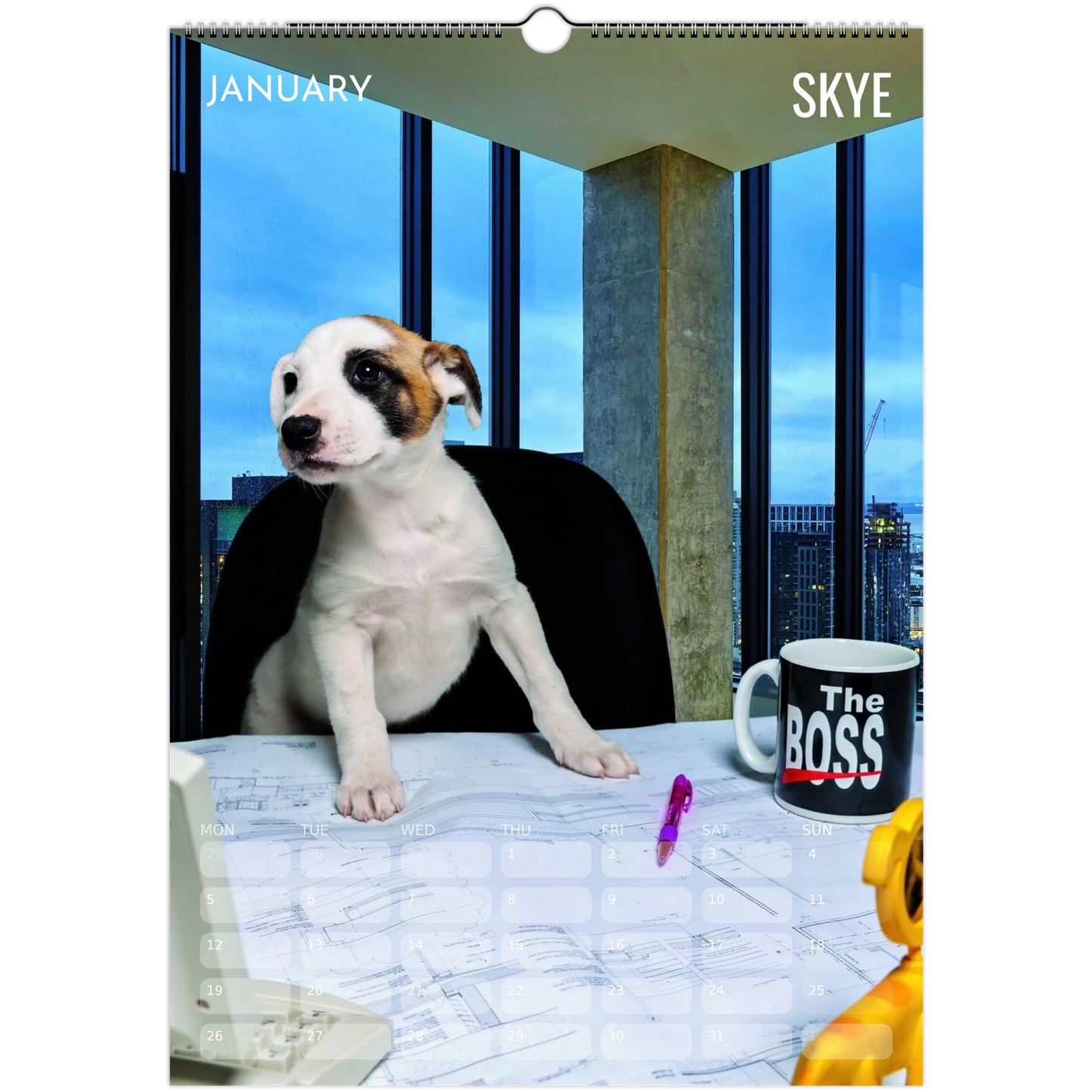 e452f107-7e84-40d1-9162-6407f6ddb601