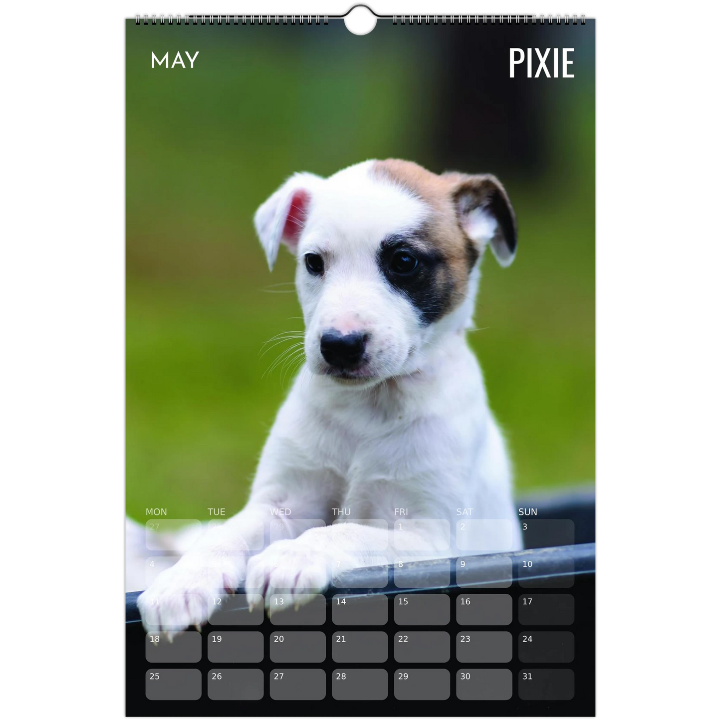 e5e3c95e-f220-4a28-bc77-ae8ede3811f7