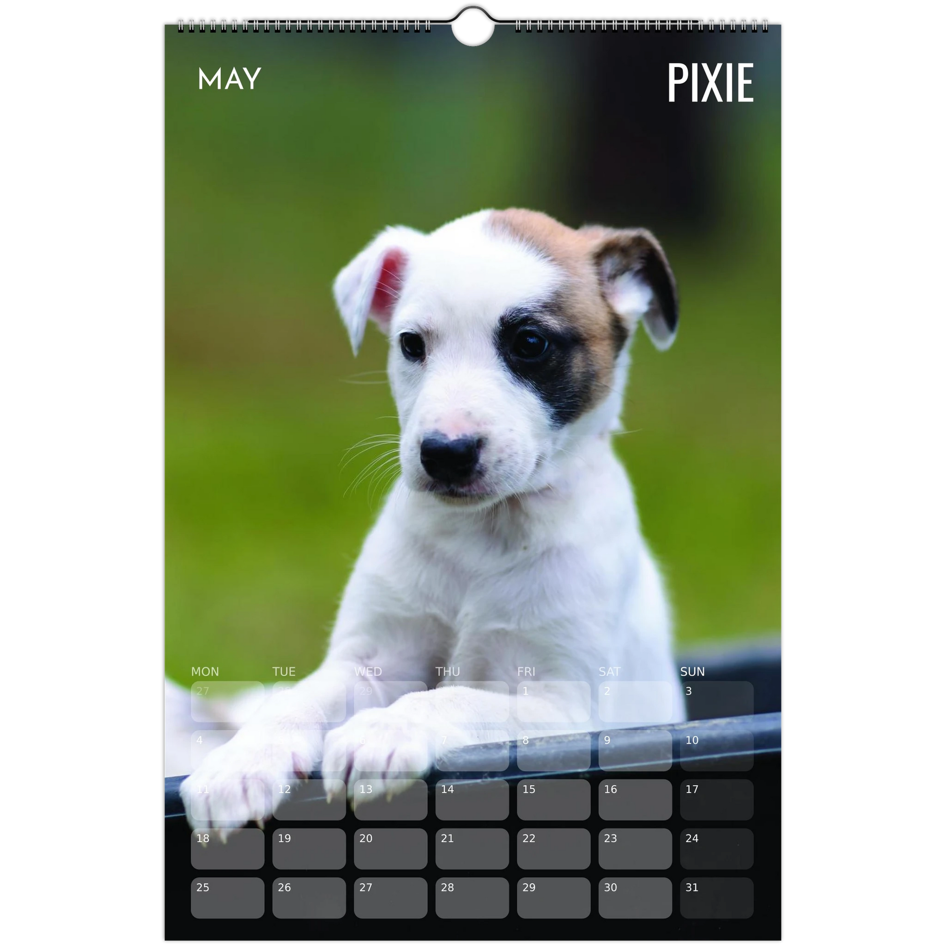 e5e3c95e-f220-4a28-bc77-ae8ede3811f7