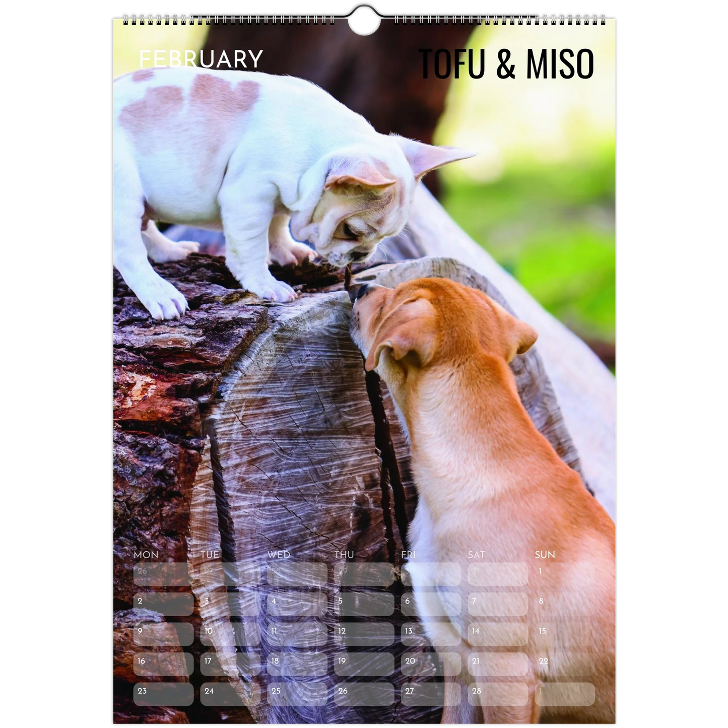 e7c278fc-8b8c-4791-804b-63f62bbff0e8