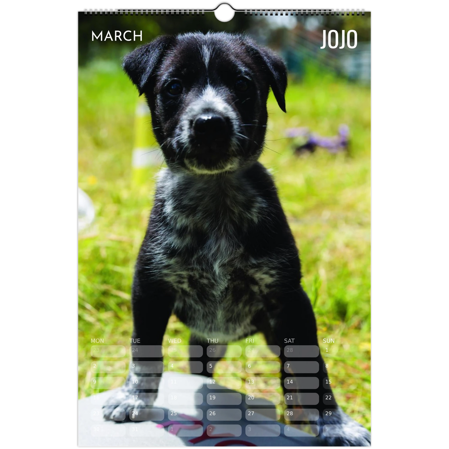 ec4ed0a0-6f34-4d4e-a54b-3dfb3b826da1