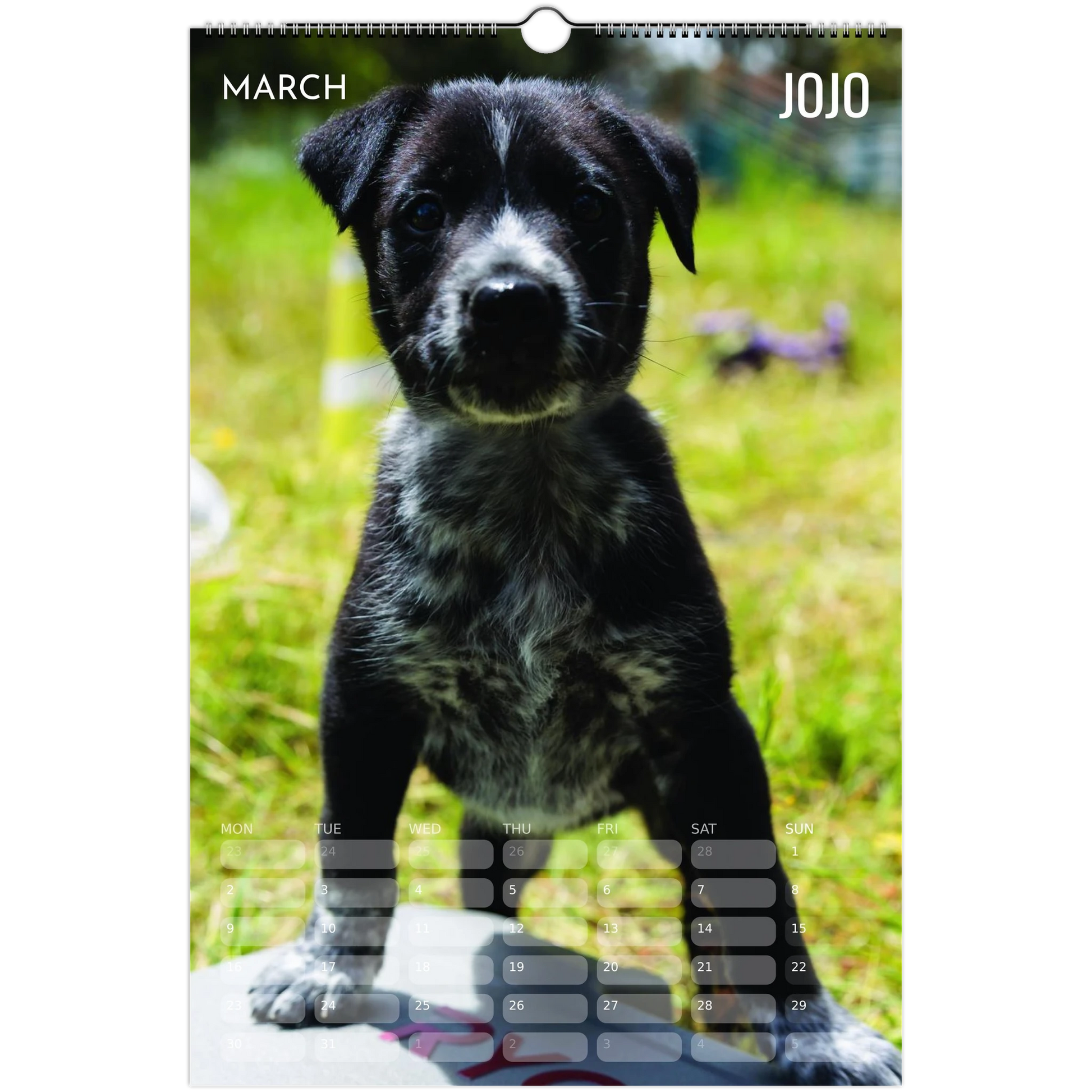 ec4ed0a0-6f34-4d4e-a54b-3dfb3b826da1