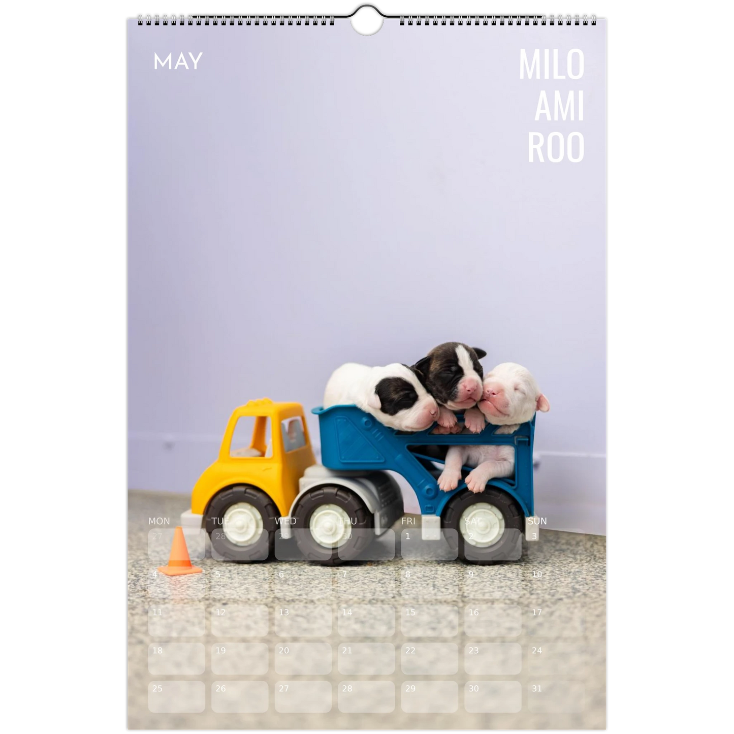 f1629cfc-bf9d-48ca-8fa6-1baca41191d6