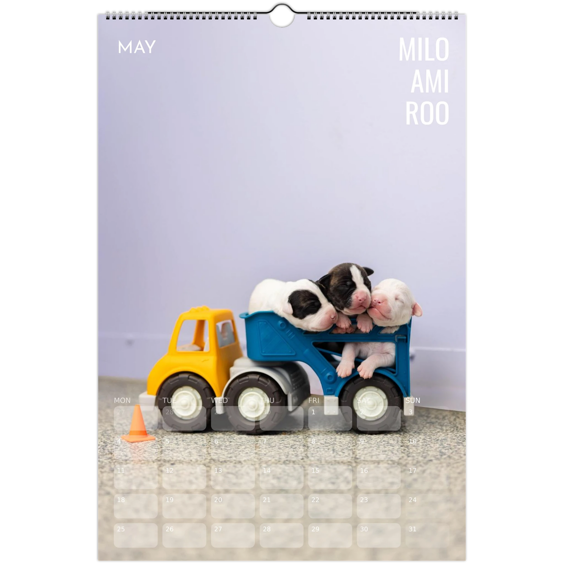 f1629cfc-bf9d-48ca-8fa6-1baca41191d6