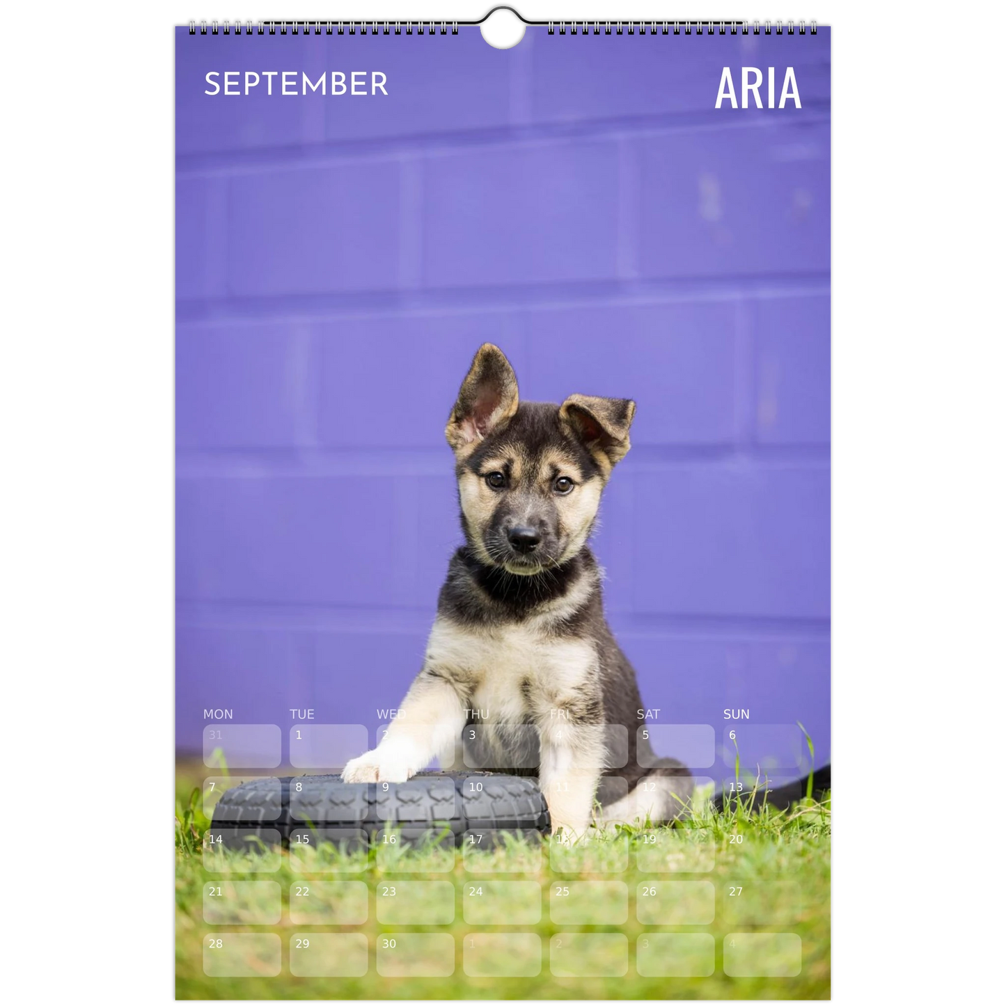 f48175c5-2bbc-49c6-97cc-26b89a084189