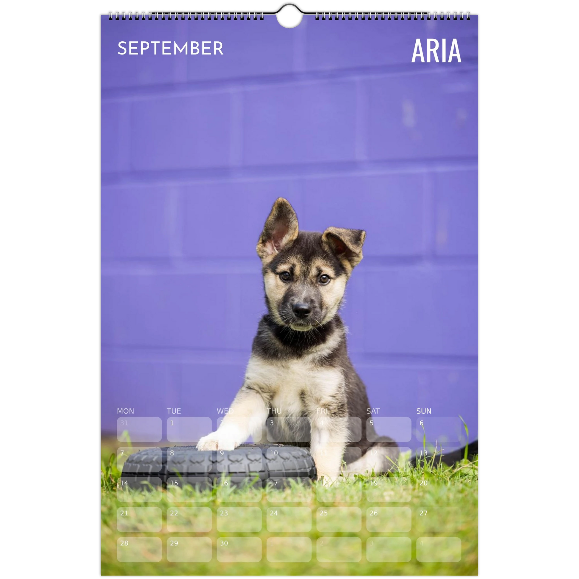 f48175c5-2bbc-49c6-97cc-26b89a084189