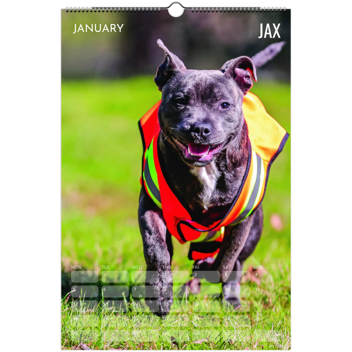 f4923698-cc07-41a5-91c1-d8c0b2950383