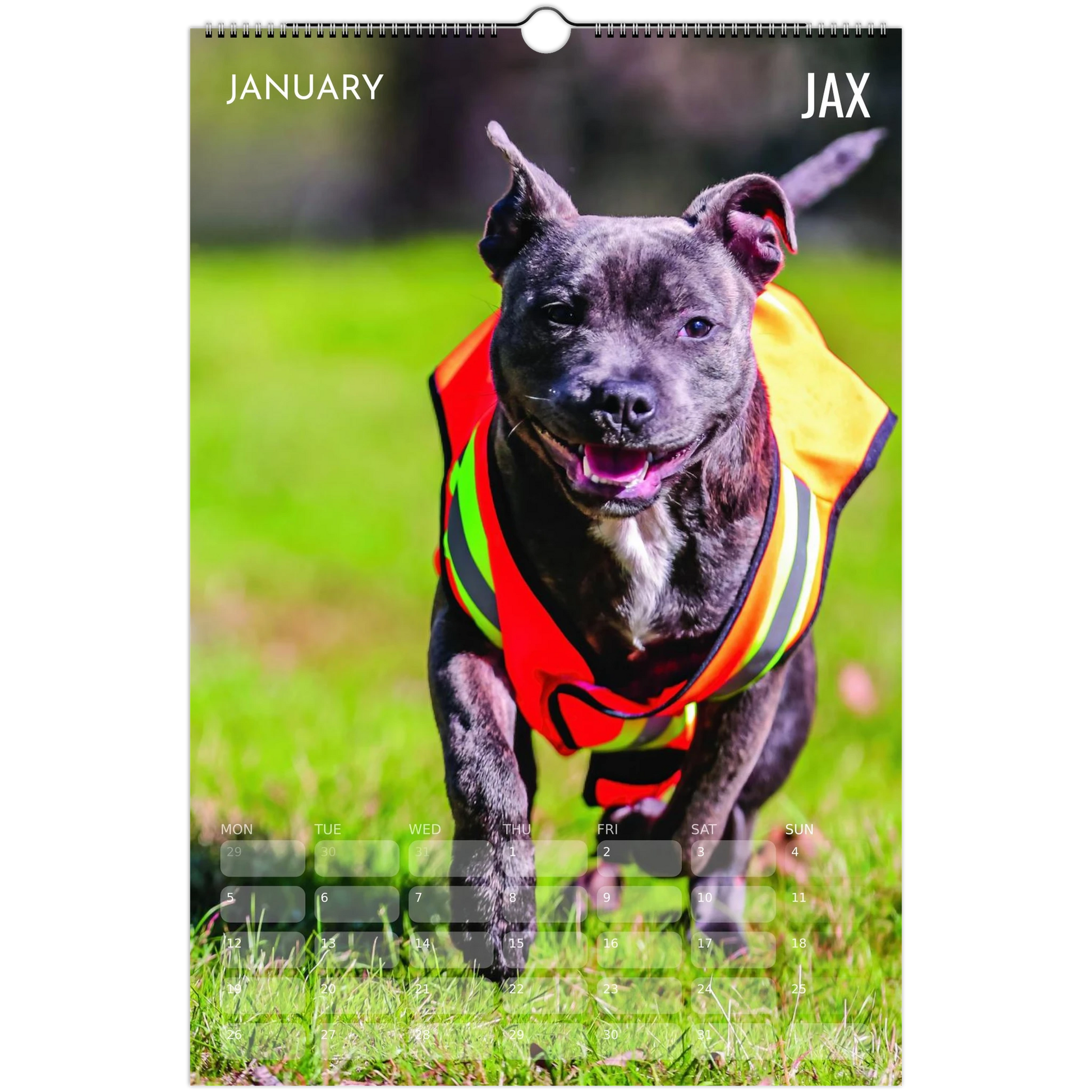 f4923698-cc07-41a5-91c1-d8c0b2950383