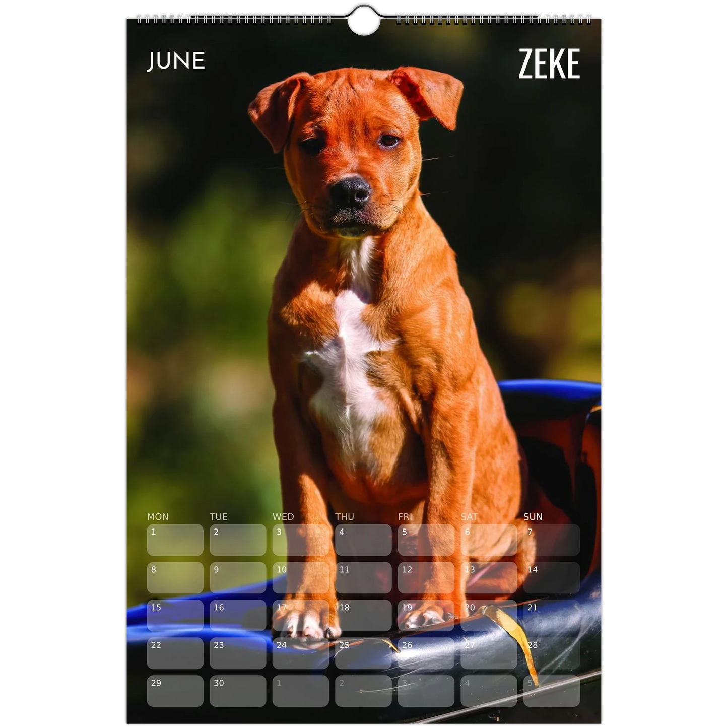 f6a8b9cc-e923-41ae-a82d-2bbc9fbf8935