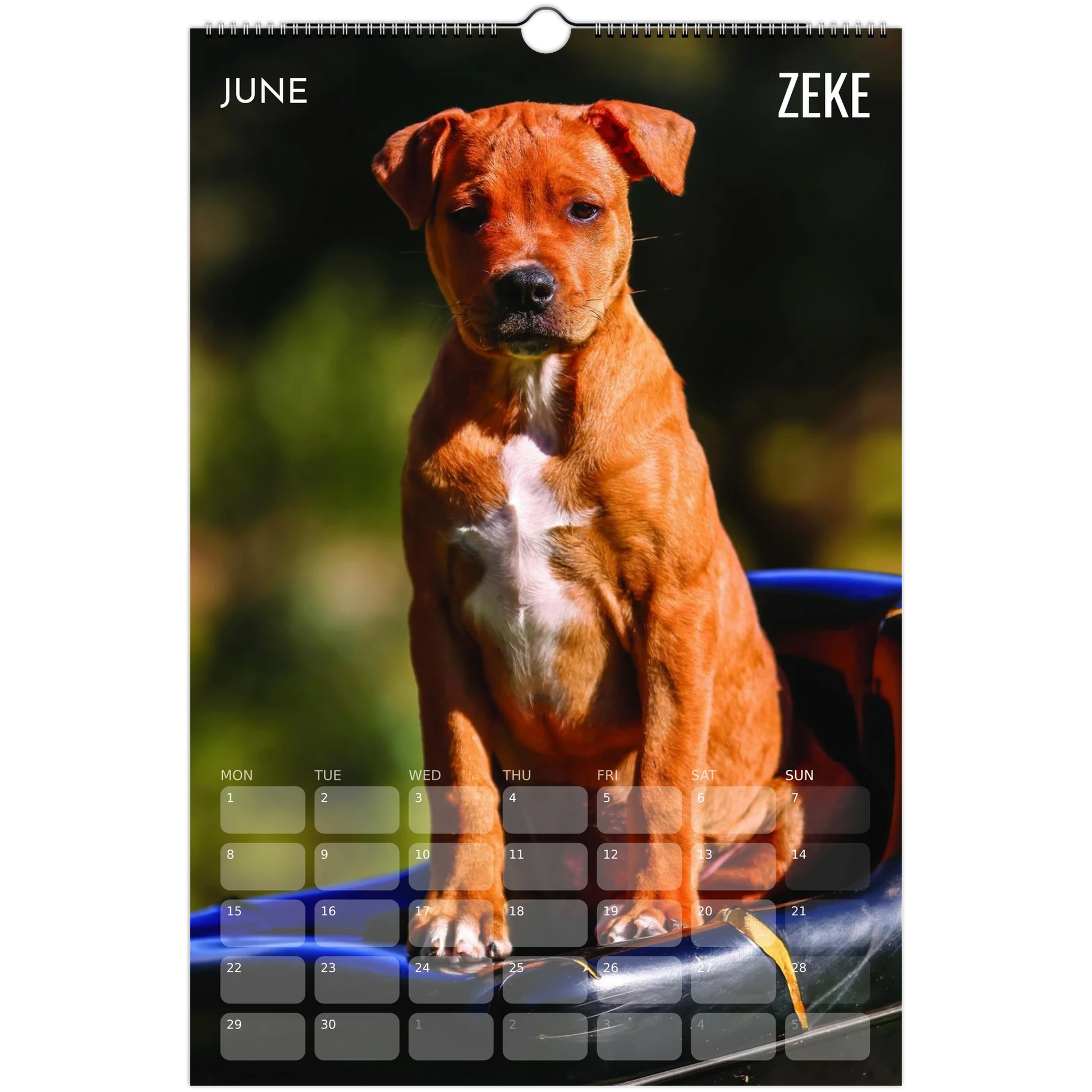 f6a8b9cc-e923-41ae-a82d-2bbc9fbf8935