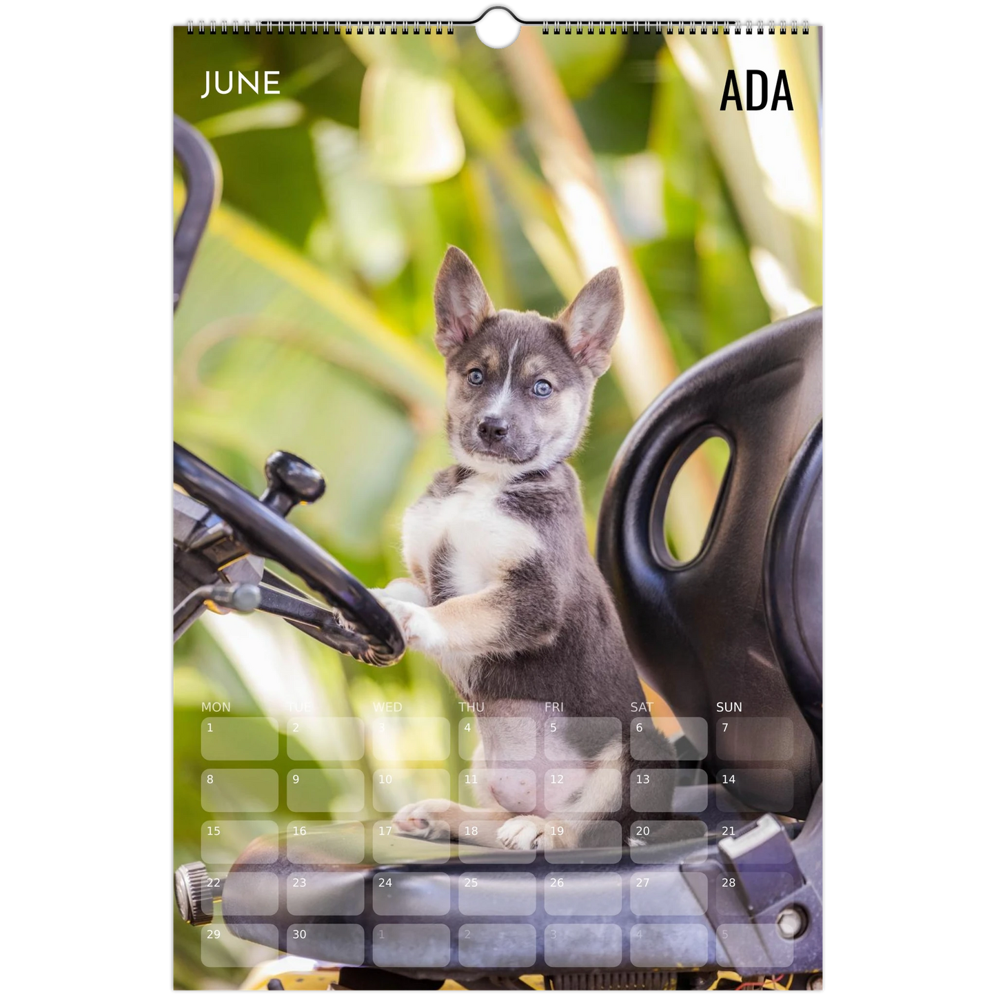 f9770bf6-de6f-40f3-8f63-fa1108c5799e