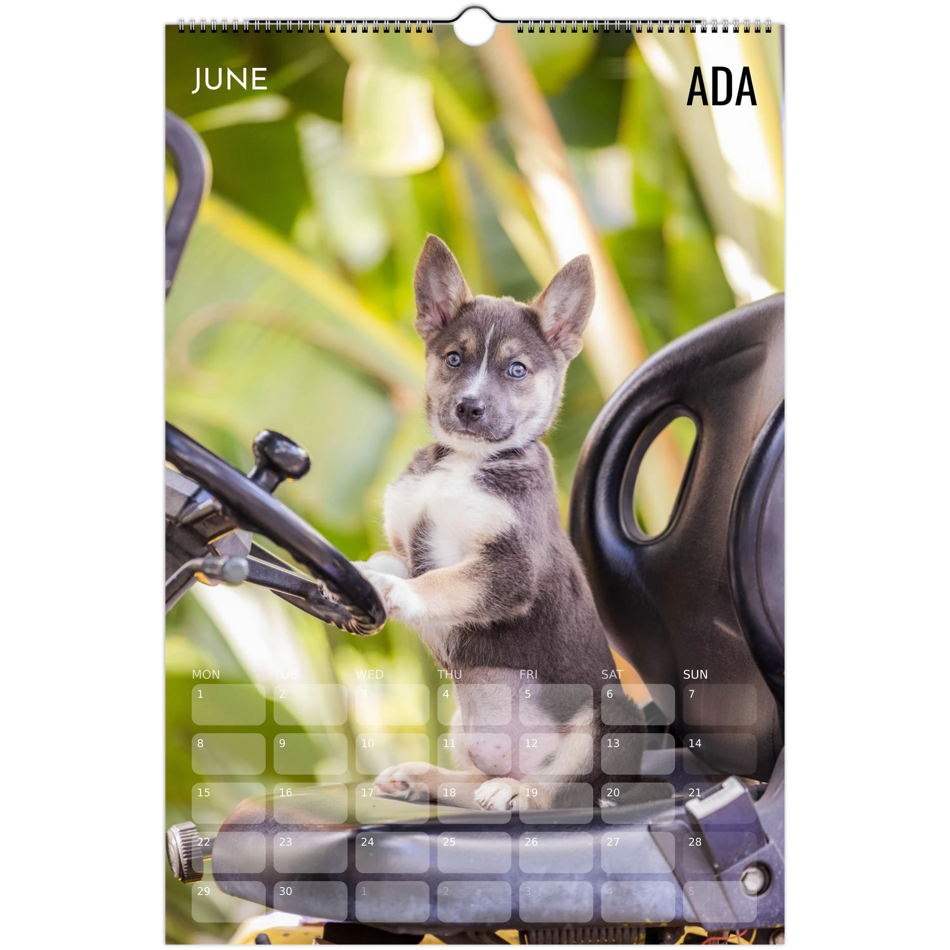 f9770bf6-de6f-40f3-8f63-fa1108c5799e