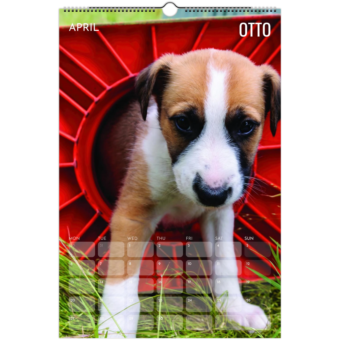 fa105025-7869-43be-980f-c3a7f84b9166