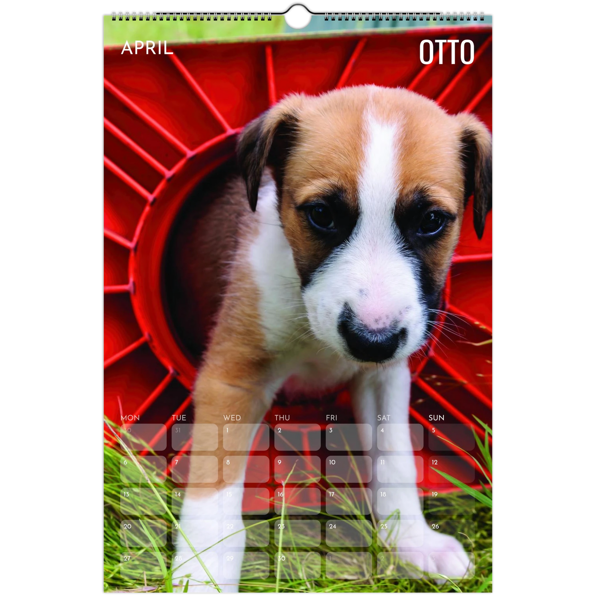 fa105025-7869-43be-980f-c3a7f84b9166