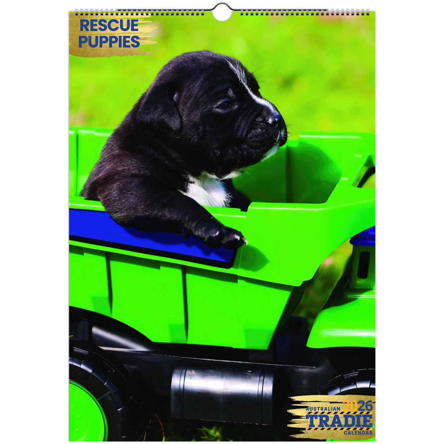 fb2d028c-24e2-4158-9d82-a07bf8071a98