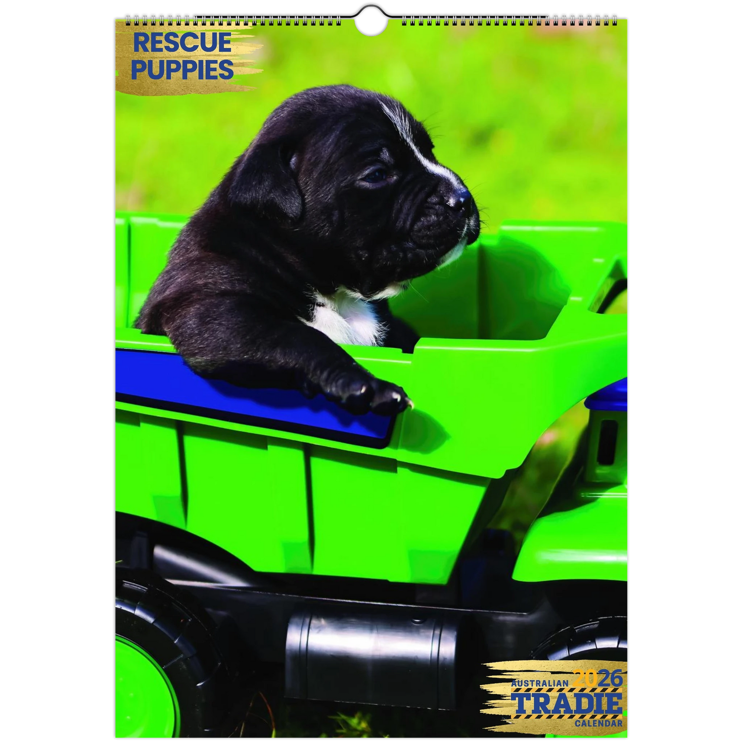 fb2d028c-24e2-4158-9d82-a07bf8071a98