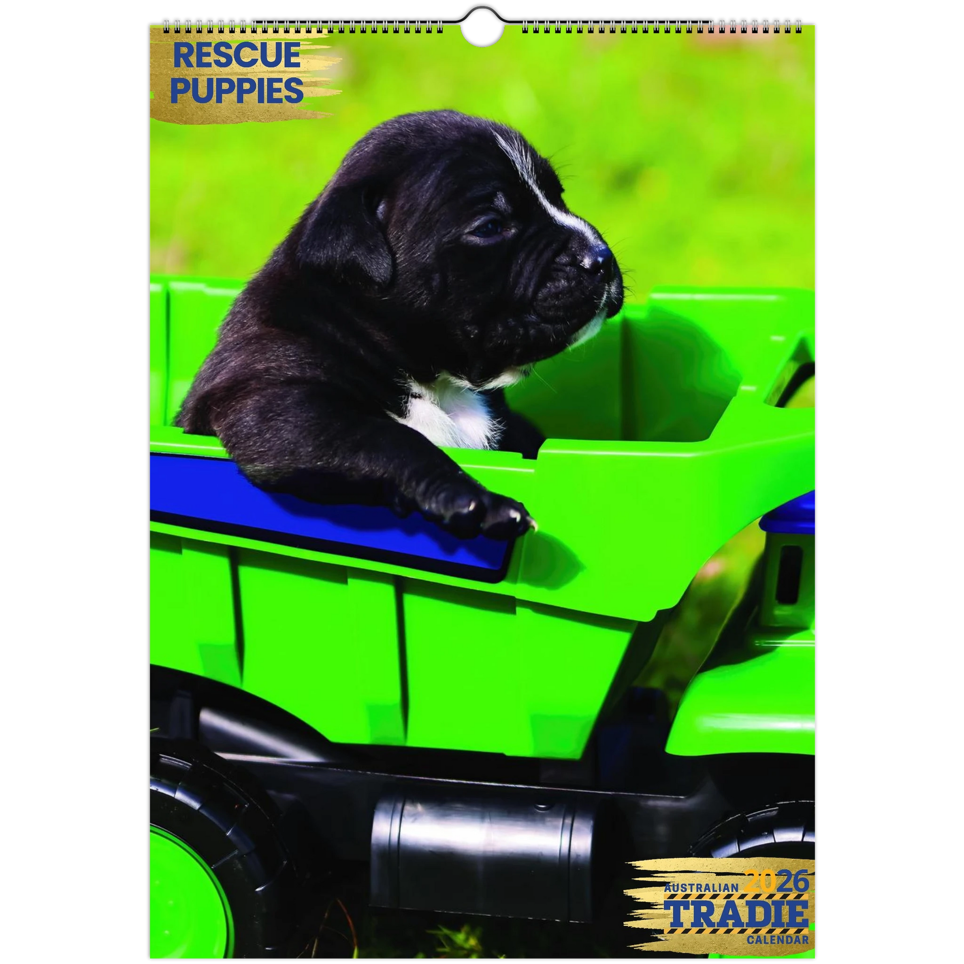 fb2d028c-24e2-4158-9d82-a07bf8071a98