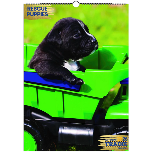 fb2d028c-24e2-4158-9d82-a07bf8071a98