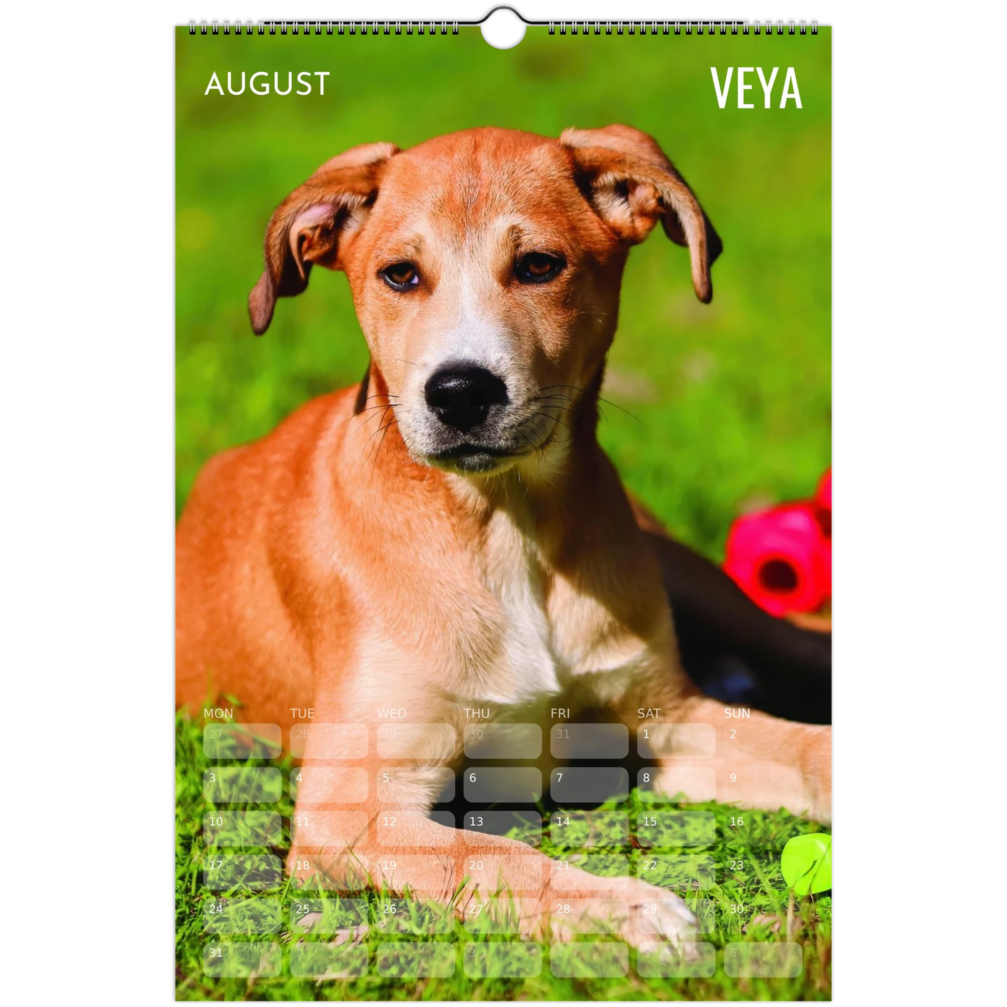 fc051ce6-fa46-4e4f-ba3c-5d3906330d2d