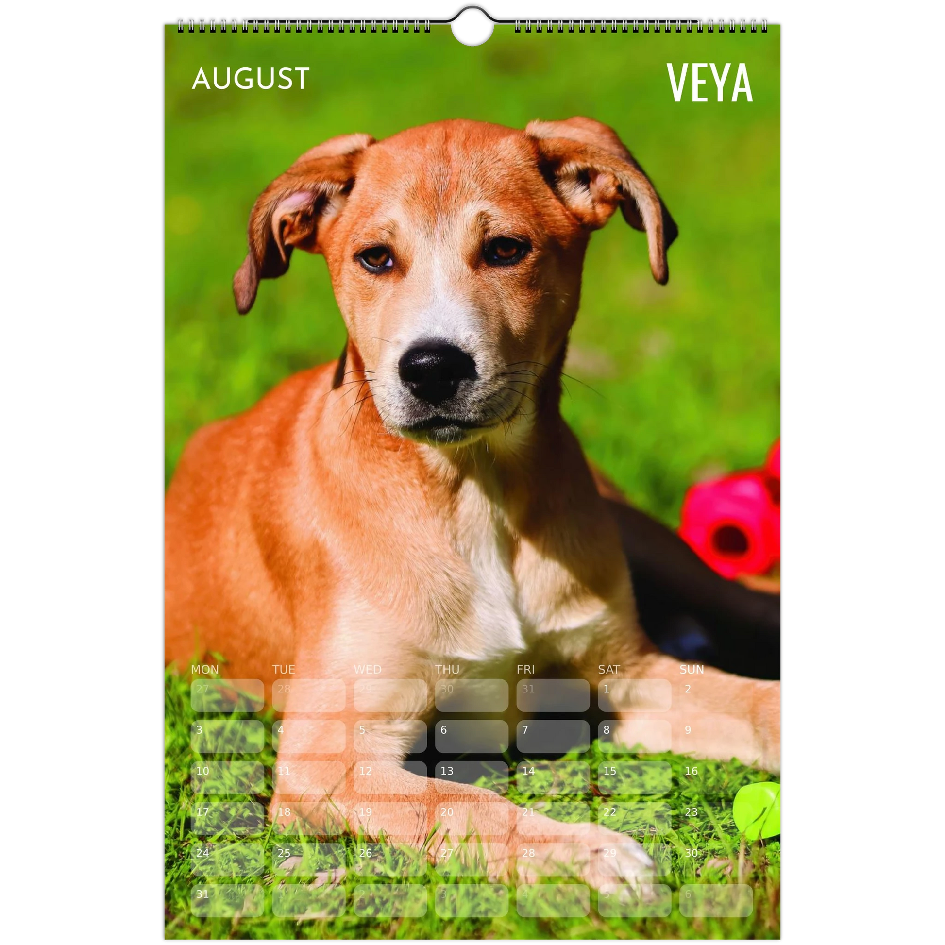 fc051ce6-fa46-4e4f-ba3c-5d3906330d2d