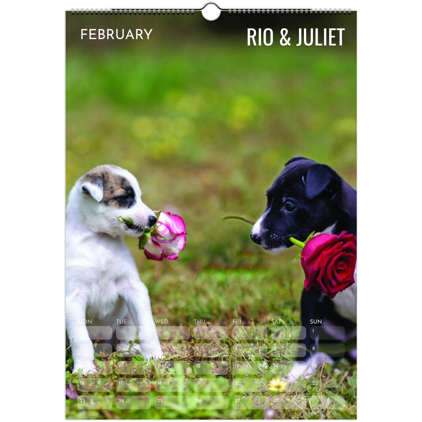 fde03d4b-8a11-4b34-891c-d611790fef88