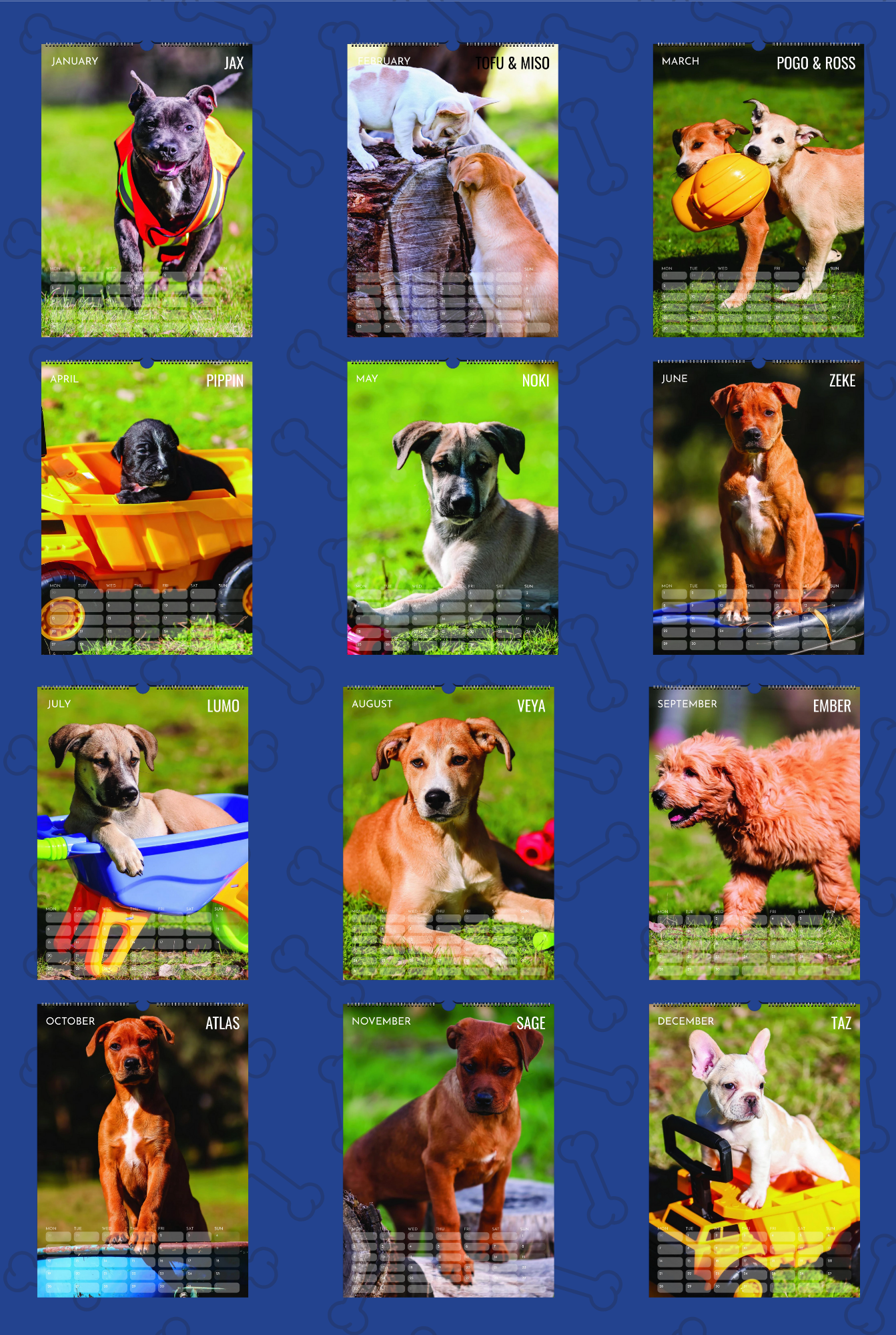 Rescue Puppy 2026 - Ship To US & CA