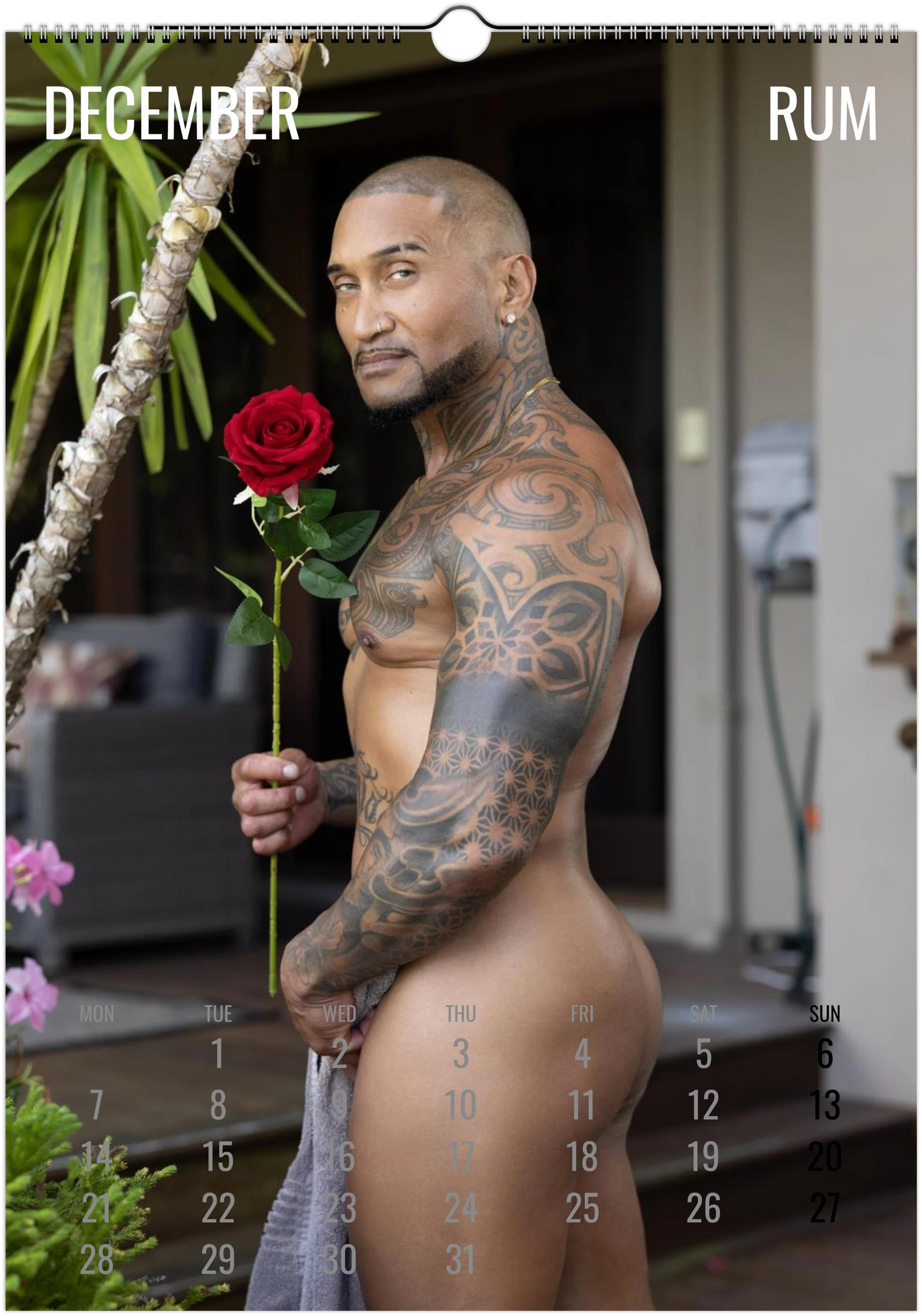 Housework Hunk - Ship To Non US & CA
